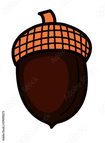 acorn