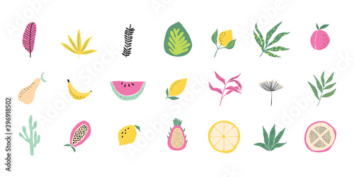 Abstract tropical fruit and forest leaf collection. Modern exotic jungle plant illustration, pattern. Trendy doodle and abstract nature icons, organic shapes on isolated background. Matisse art style