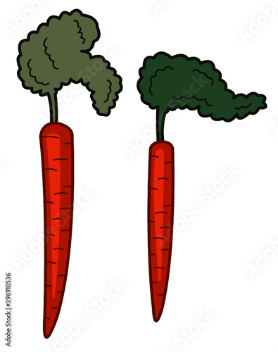 carrots