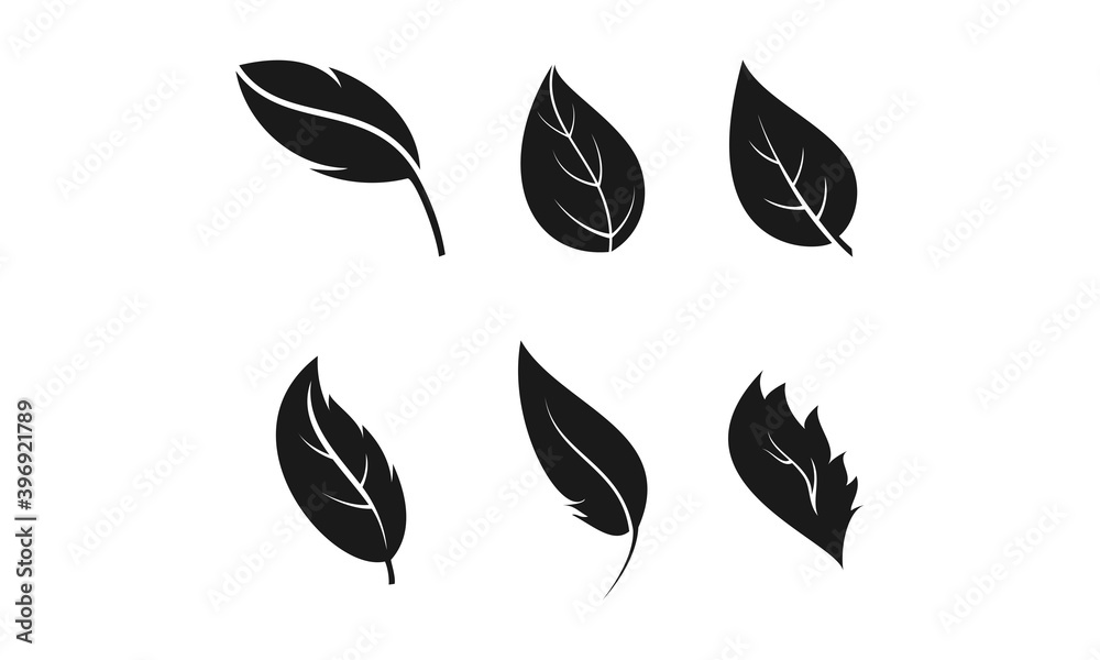 Fototapeta premium Leaf set illustration vector design
