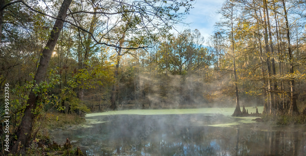 Early Morning Fog at Wes Skiles Peacock Springs State Park, Florida