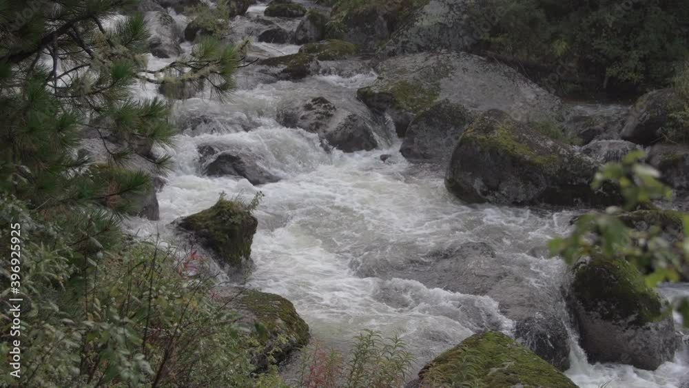 Flowing stream in middle of forest Flowing stream in middle of forest