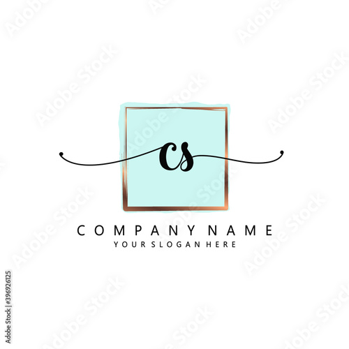 CS Initial handwriting logo template vector
