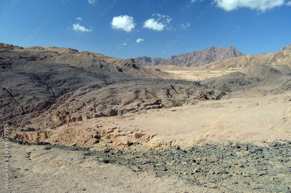 Desert of Sinai Peninsula, Egypt. Near Sharm El Sheikh