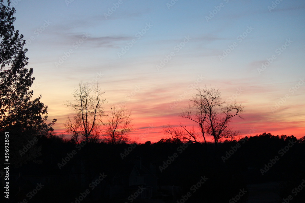 Pink Sunset Clouds Trees