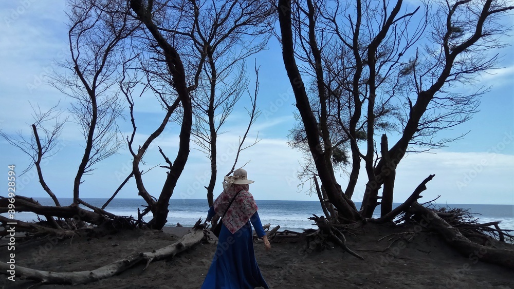 Fototapeta premium Beautiful Goa Cemara Beach in Yogyakarta