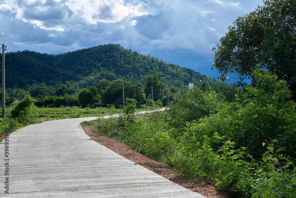 The Concrete Road and the grassy forest have a mountain backdrop against the cloudy sky. The Concrete Road and the grassy forest have a mountain backdrop against the cloudy sky.