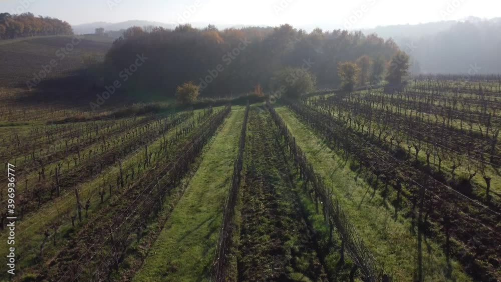 Aerial view at Sunset Bordeaux vineyard in autumn under the frost and fog Aerial view at Sunset Bordeaux vineyard in autumn under the frost and fog