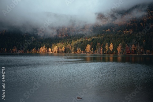 Foggy forest lake in the wi...