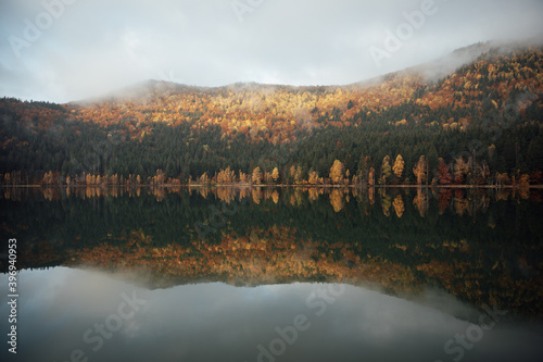 Autumn forest reflected in ...