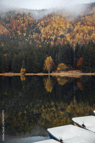 Foggy autumn forest lake re...