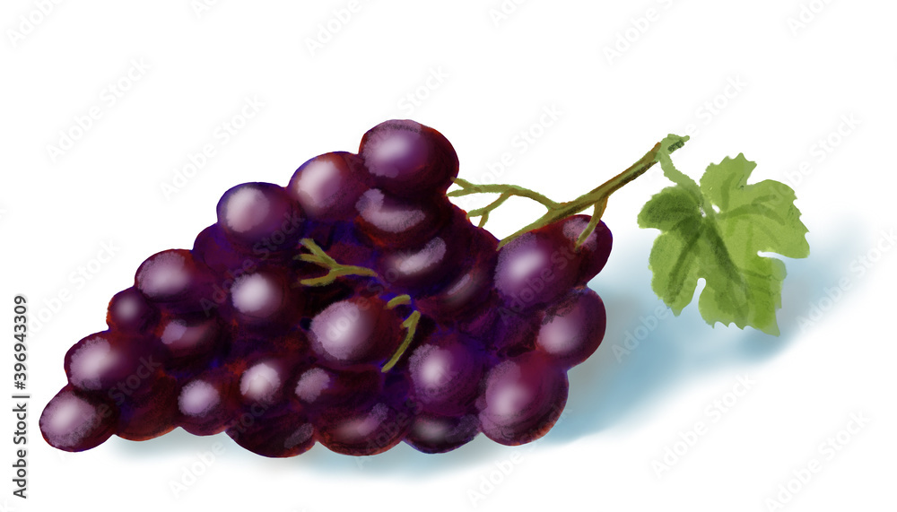 Purple grape with green leaf.
