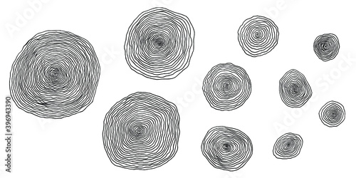 Set of wooden cross-section. Tree rings. Vector illustration isolated on white background