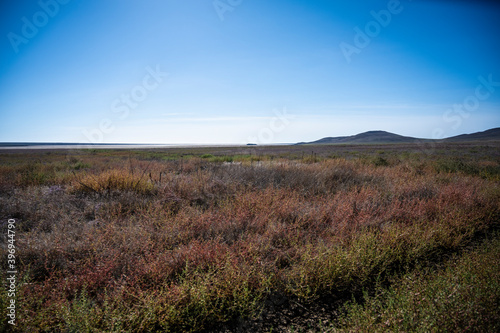 Beautiful field along lake Uzunlarskoe in the Republic of Crimea, Russia. Clear Sunny day October 7, 2020