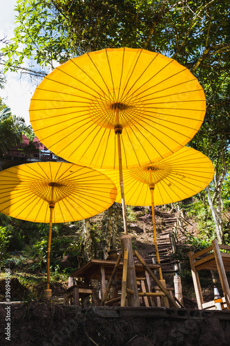 Jungle Tourist destination decorated with Yellow Umbellas