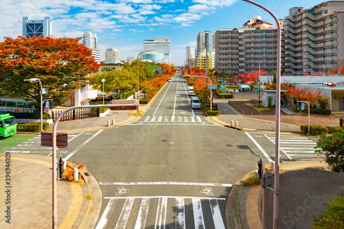 六甲アイランドの秋の風景　兵庫県神戸市東灘区にて