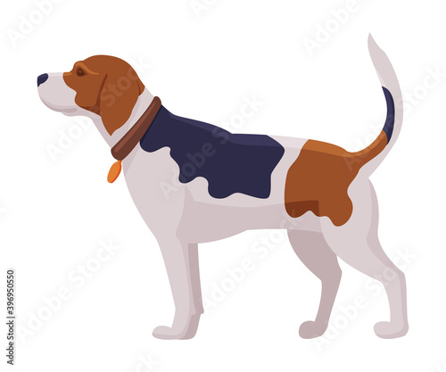 Hunting Dog, Scent Hound Breed Flat Vector Illustration