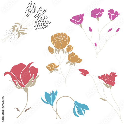 Flowers flat vector illustration set. Floral simple bright and colour picture of garden flowers  rose  poppy  lavender  bell  peony  carnation.