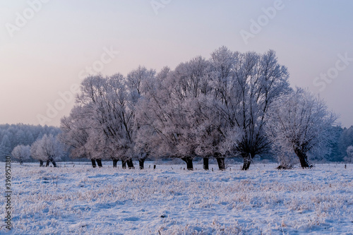 Piękna i mroźna zima na Podlasiu, Polska © podlaski49
