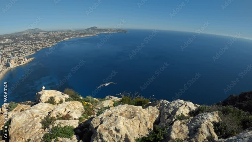Camera scares big beautiful seagull. White ocean sea seagull flies from cliff onto landscape. Wildlife and birds near humans Camera scares big beautiful seagull. White ocean sea seagull flies from cliff onto landscape. Wildlife and birds near humans