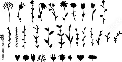 
floral silhouettes isolated on white background