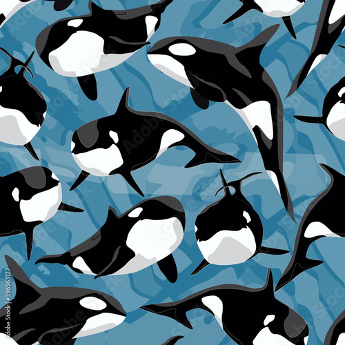 Seamless pattern. Realistic killer whale. Orcinus orca. Aquatic animals of the Arctic and Antarctic regions. Vector illustration