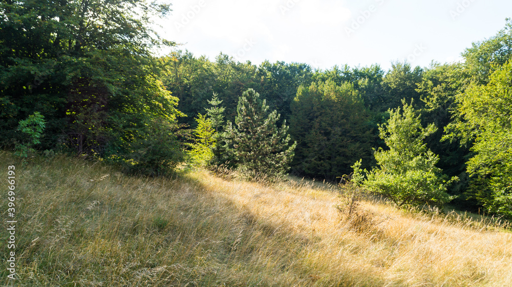 Obraz premium Vista lungo il sentiero di montagna in estate