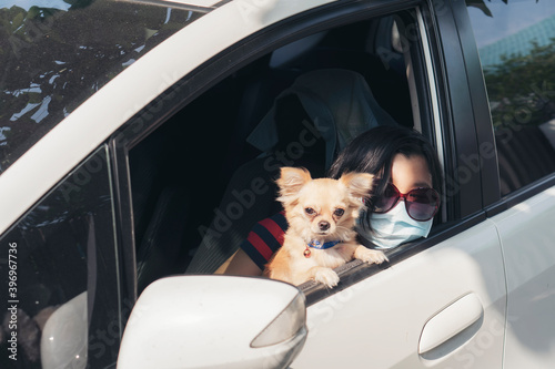 Asian child wearing a mask holding a dog Take a car to go on vacation with family. Cute little kid look at view beside window