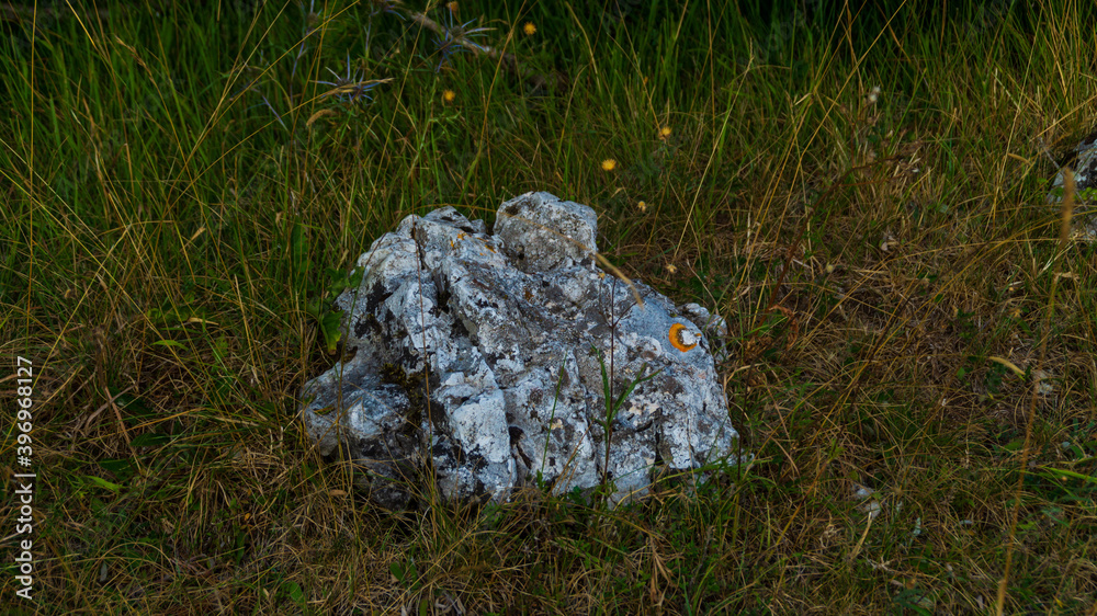 Obraz premium Pietre lungo il sentiero di montagna nelle Marche