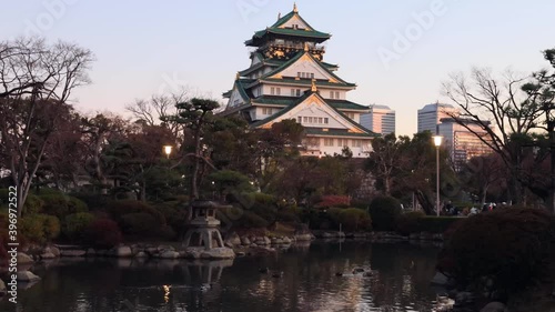 Traditional japanese garden with pond and birds in Osaka city public park 4k.
 photo