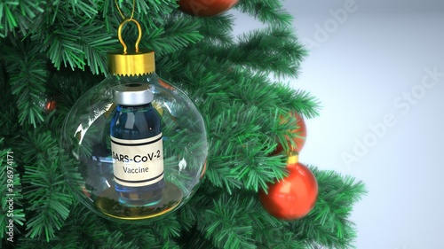 Vaccine Against Sars-CoV-2 Christmas Present