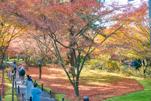 Kyoto, Japan - Autumn leaf color at Sanzenin Temple in Ohara, Kyoto, Japan. Sanzenin Temple was founded in 804. photo