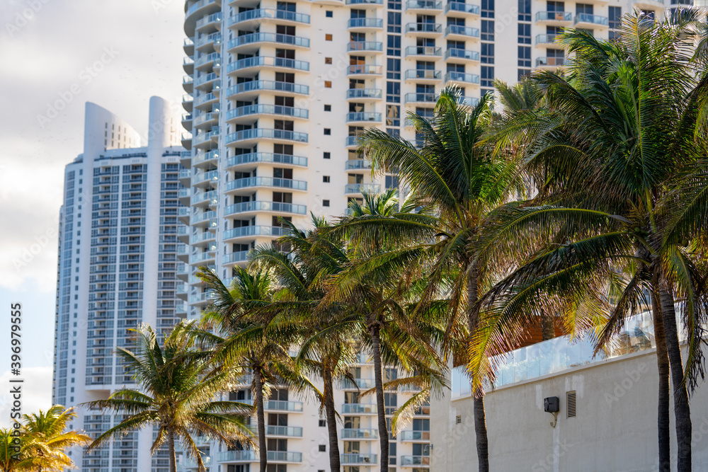 Palm trees with buildings