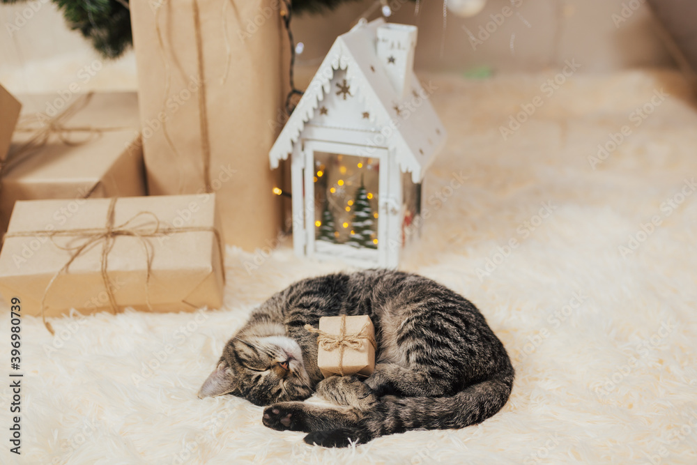 Striped kitten with a kraft gift with bow in its paws is sleeping on a beige fluffy blanket.