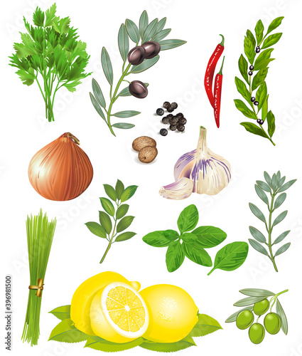 Gewürze und Kräuter - vector illustration