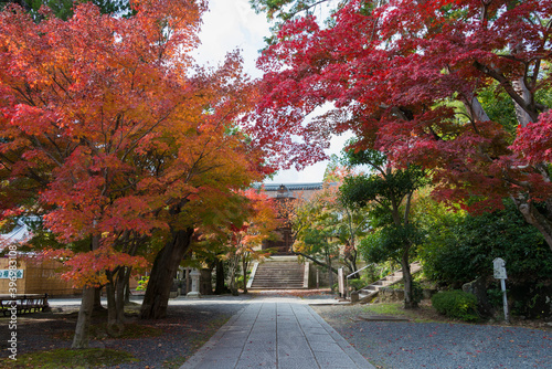 Kyoto, Japan - Autumn leaf color at Komyoji Temple in Nagaokakyo, Kyoto, Japan. The Temple originally built in 1198. photo