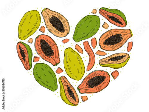 A set of papaya fruits in various forms. Whole and sliced fruit with leaves on a white background. Color doodle style.