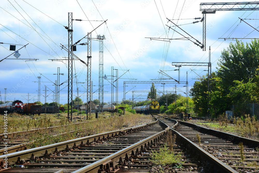 railroad tracks in the forest