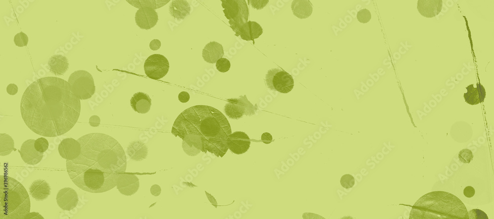 abstract colorful circles background bg texture wallpaper art leaves flora abstract colorful circles background bg texture wallpaper art leaves flora