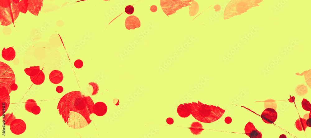 abstract colorful circles background bg texture wallpaper art leaves flora abstract colorful circles background bg texture wallpaper art leaves flora