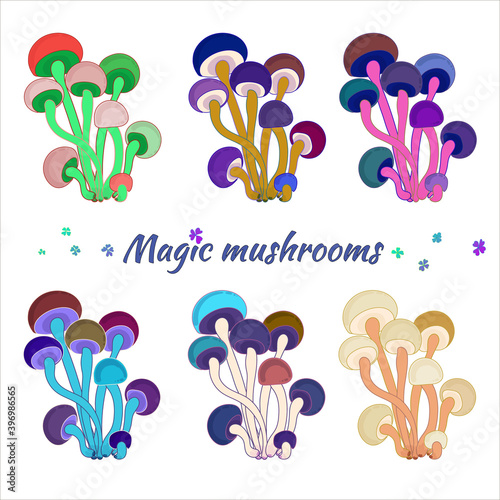 Set with colored mushrooms. Beautiful single multi-colored mushrooms on a white background, isolated.