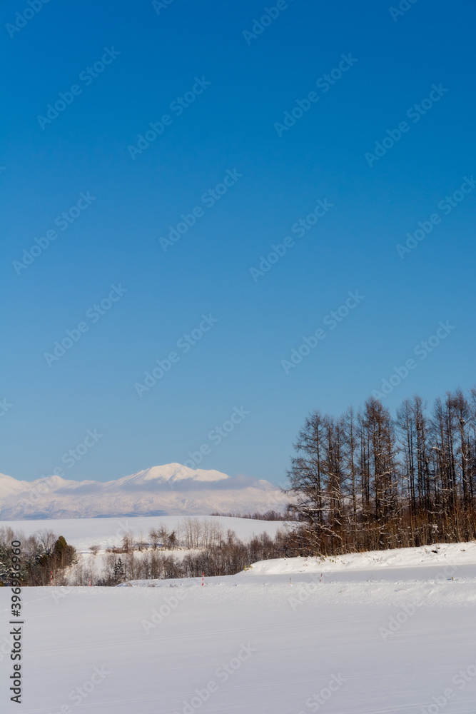 雪原と雪山と青空　大雪山
