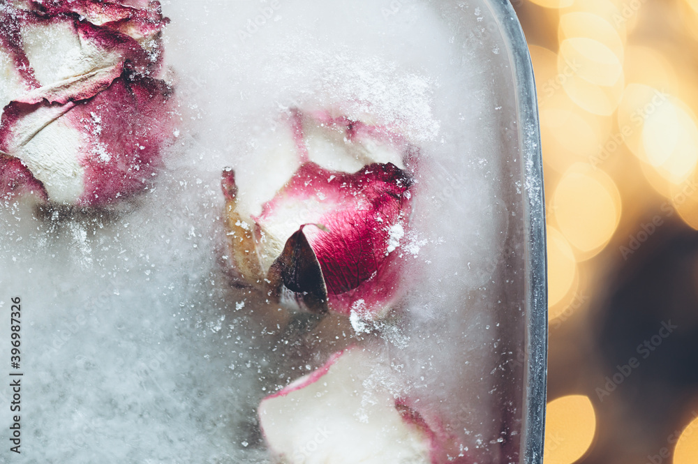 Fototapeta premium Frozen Rose Flowers in Ice Cubes in dark settings, floral ice