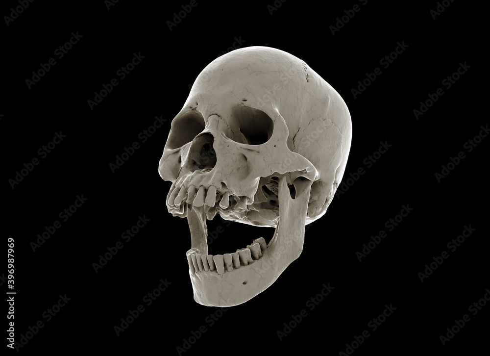 Obraz premium Human skull with an open lower jaw on a Black isolated background. The concept of death, immortality, eternal life, horror. Acult symbol. Spooky Halloween symbol. 3D render