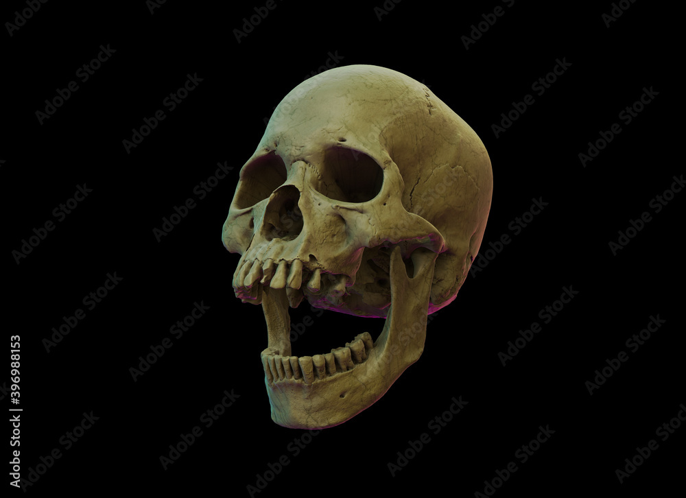 Obraz premium Human skull with an open lower jaw on a Black isolated background. The concept of death, immortality, eternal life, horror. Acult symbol. Spooky Halloween symbol. 3D render