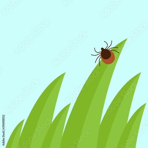 Mite in the tall green grass flat vector illustration, mite hiding in the grass, tick-borne mite color icon, danger tick bug in nature grass
