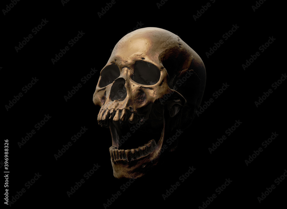 Human skull with an open lower jaw on a Black isolated background. The concept of death, immortality, eternal life, horror. Acult symbol. Spooky Halloween symbol. 3D render Human skull with an open lower jaw on a Black isolated background. The concept of death, immortality, eternal life, horror. Acult symbol. Spooky Halloween symbol. 3D render