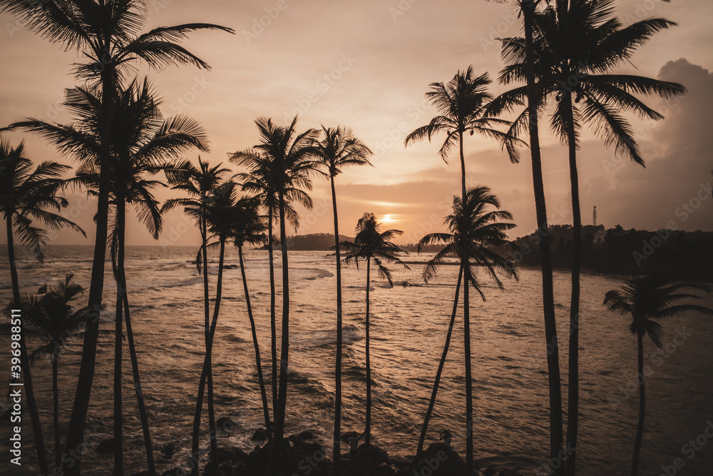 Palmy na tle zachodzącego słońca i oceanu z falami.
