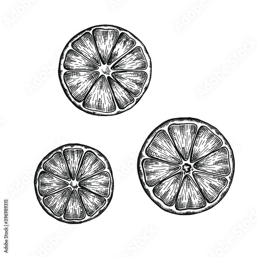 Hand drawn black and white crosshatch vector illustration of three different orange slices. No background.