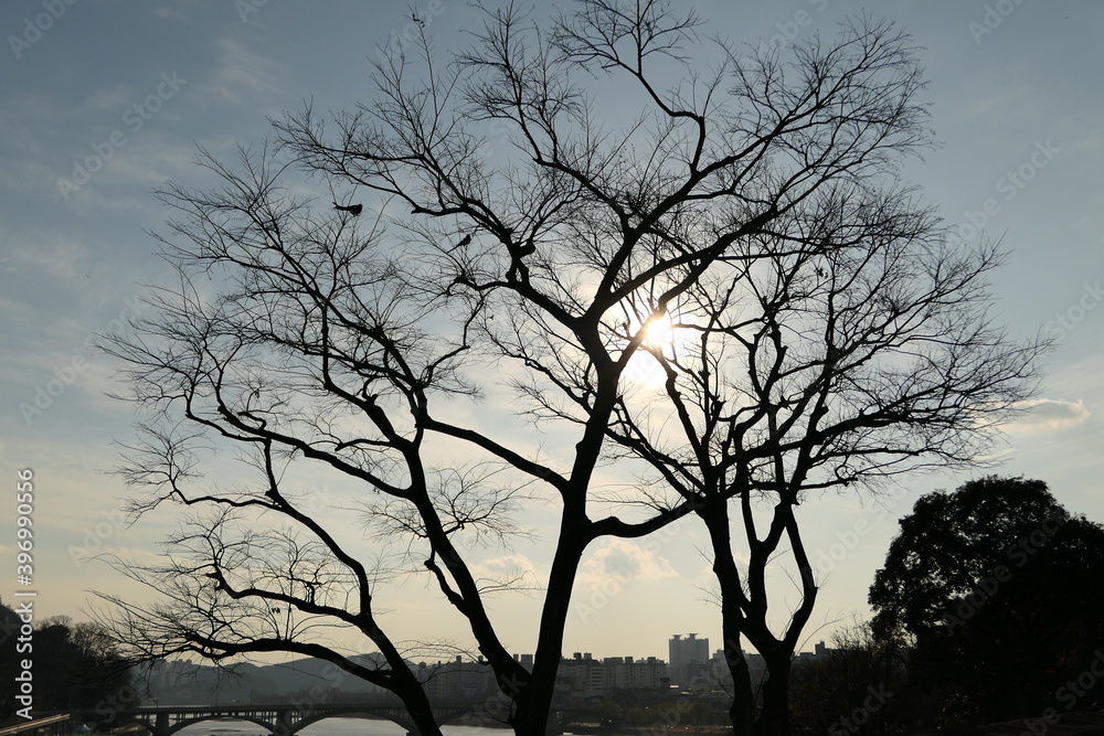 Late autumn scenery of Jinju Castle of Korea Late autumn scenery of Jinju Castle of Korea